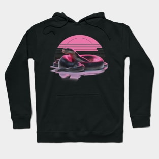 Anaconda in retro sunset Hoodie